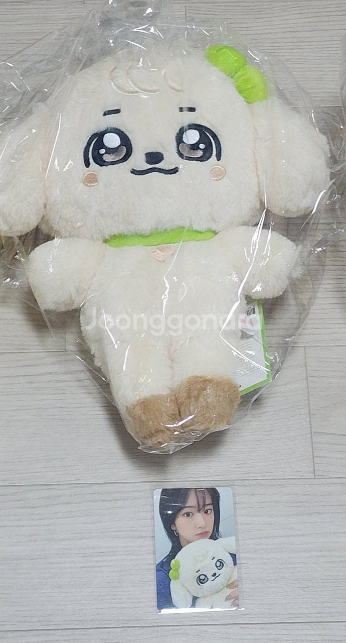 아이브 미니브 팝업 굿즈 판매 30cm, 오리지널인형--1