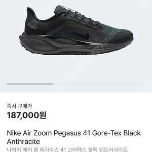 나이키 페가수스41 고어텍스 블랙 270