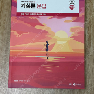 2025 조태정 기심론 문법