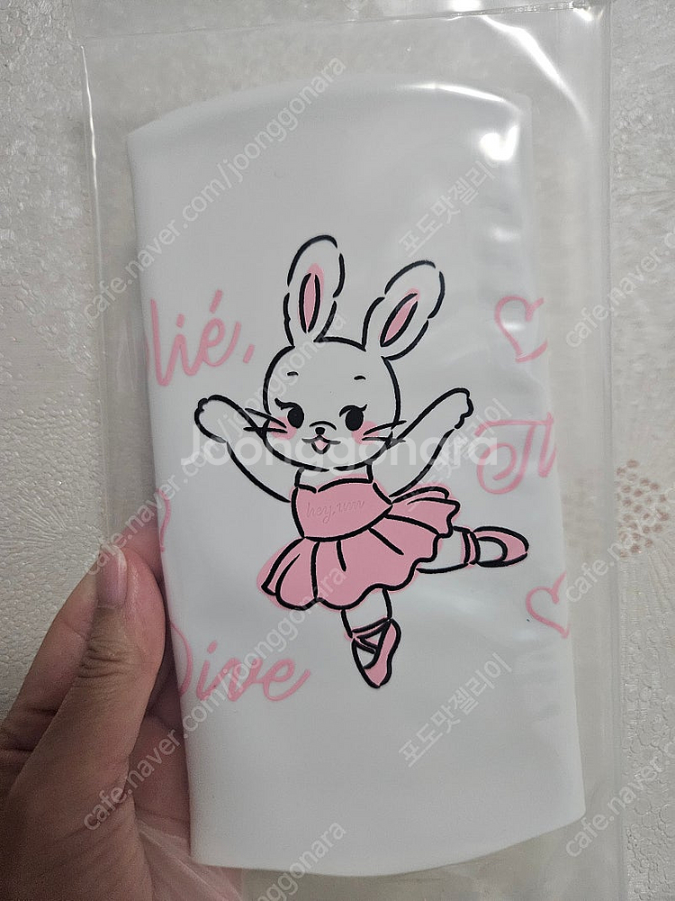 헤이엄 발레토끼--0