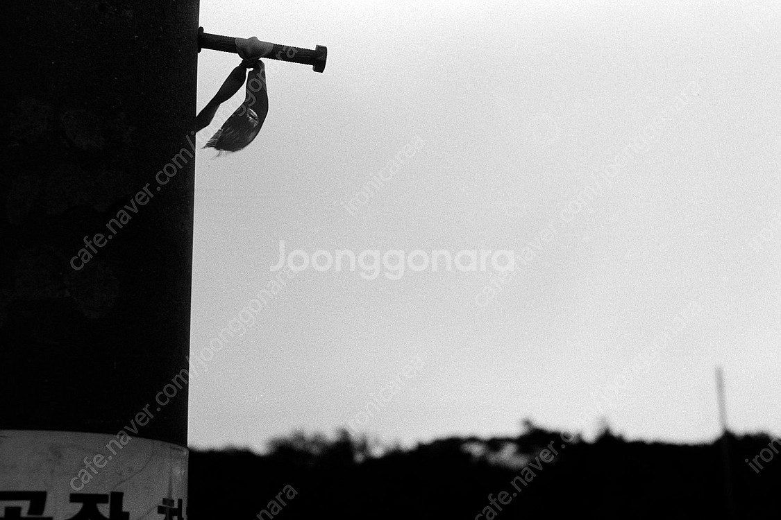 아그파 캐럿36(카라트36) 솔라곤 F 2.0(Agfa...--6