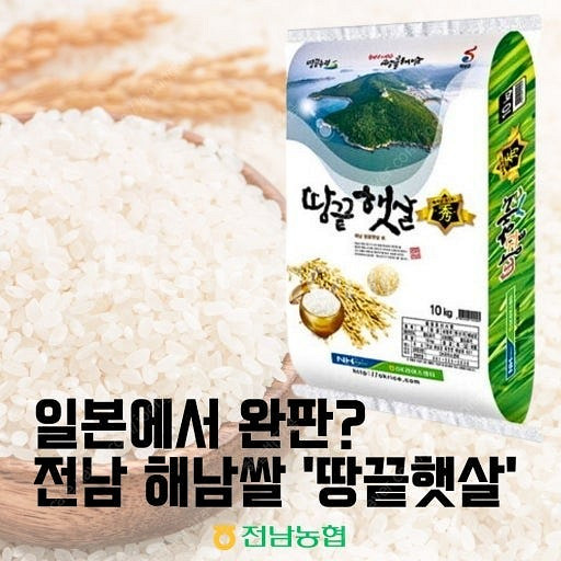 [해남미소] 땅끝햇살 수 찰지고 윤기나는 맛있는 쌀 2...--3
