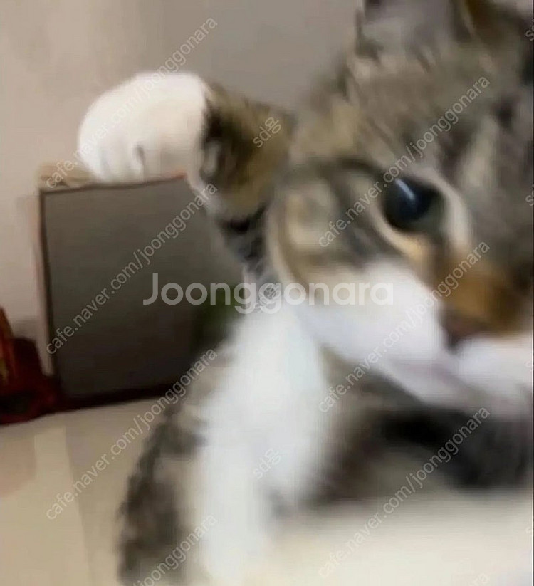 추천인X 각종게임 삽니다. 누구나 가능--0