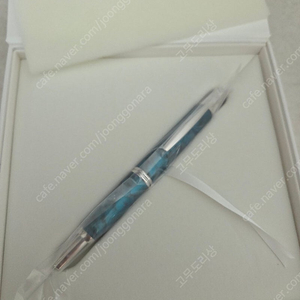 (가격인하) 파일럿 캡리스 한정판 만년필