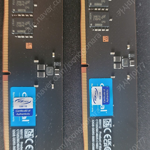 마이크론 Crucial DDR5 32GB 5600 cl46 메모리입니다 3개월정도 사용 상태 s급입니다