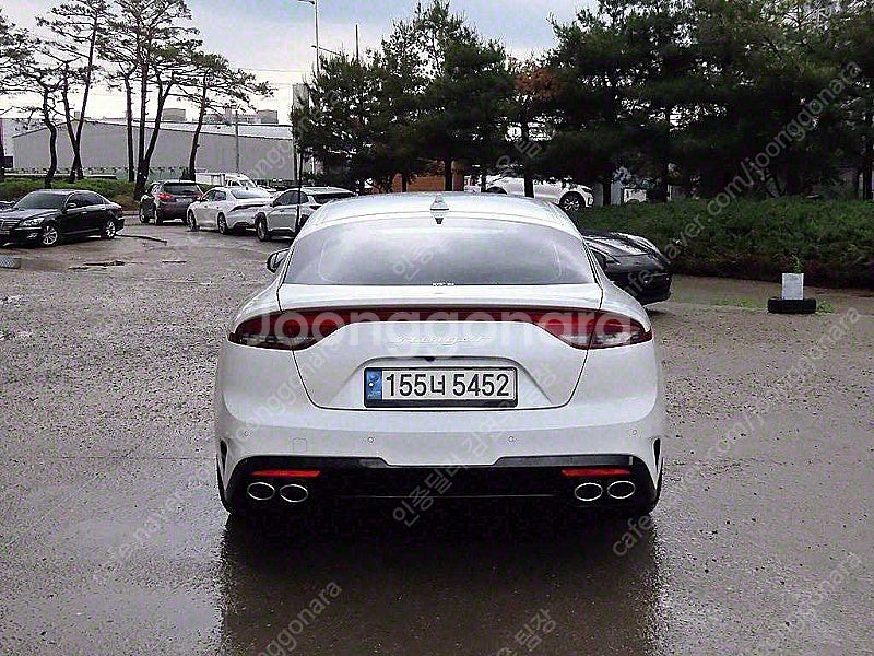 스팅어 중고 스팅어 마이스터 2WD 2.5 마스터즈 중...--9