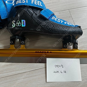 삼덕 230 + 메이플 골드