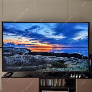 LG 65인치 스마트TV 와 한샘장식장 (서초)