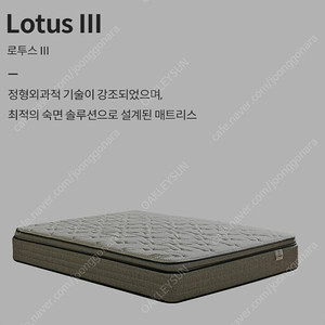 로투스 lll 킹침대 새상품