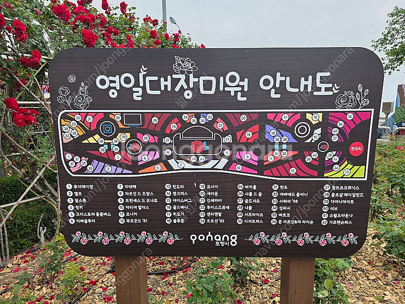 6.13. 삼성 kt 1루 테이블 판매 1인--0