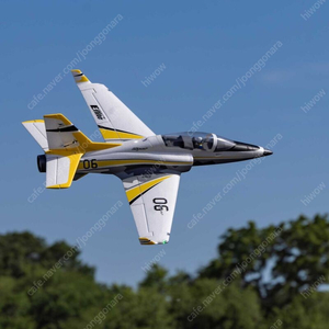 이플라이트 E-flite Viper 64mm RC 비행기 풀박스