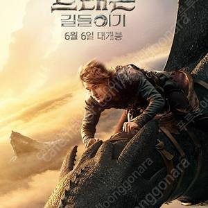 Cgv드래곤길들이기 일반영화예매