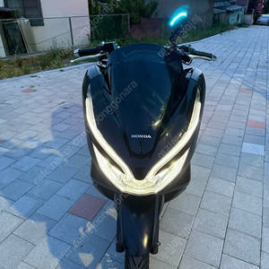 19년 혼다 더 뉴 PCX125 판매합니다.