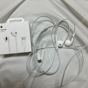 애플 정품 c타입 유선 이어폰