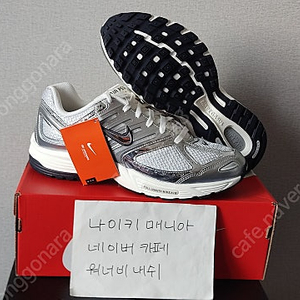 [W290/M285] W 나이키 페가수스 2K5 포톤 더스트 크롬 / 메탈릭 실버 옐로우