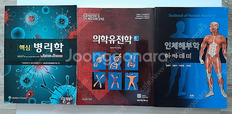 물리화학 / 병리학 / 인체해부학 / 의학유전학 / 유...--2