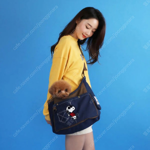 펫파라다이스 슬링백