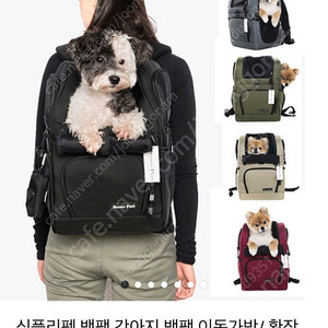 심플리펫 강아지 배낭, 기내용캐리어