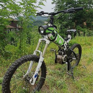 이트릭스 프랑스제 전기 mtb