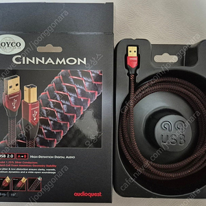 오디오퀘스트 시나몬 USB A-B 케이블 3M 팝니다.