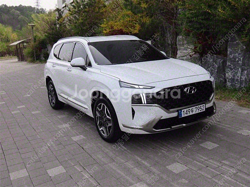 싼타페 중고 싼타페 더 뉴 싼타페 하이브리드 중고 가격 흰색 2023년식 23,207km 1.6 2WD 캘리그래피 ...--2