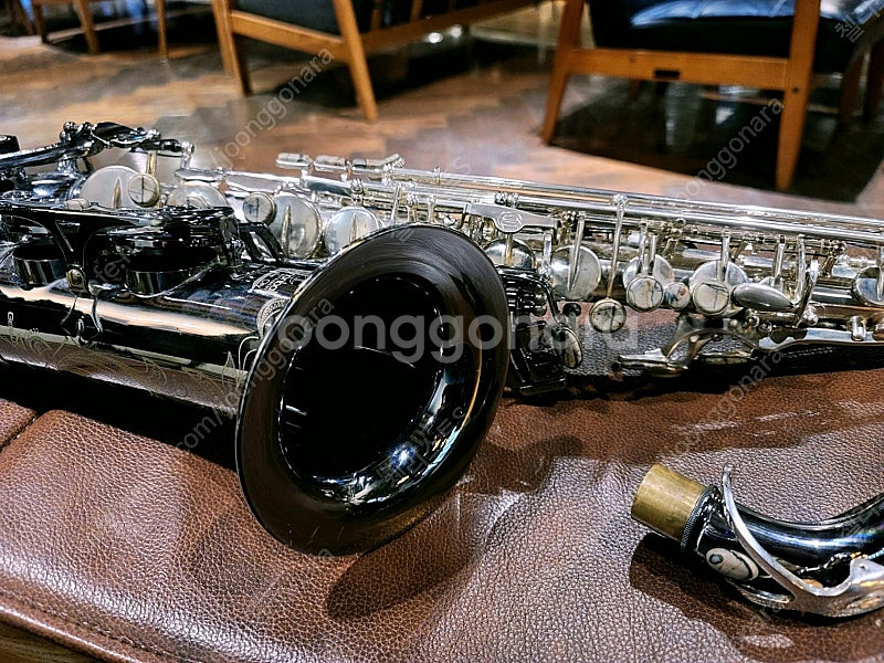 캐논볼 제랄드 올브라이트 에디션 한정판 알토 색소폰 팝...--1