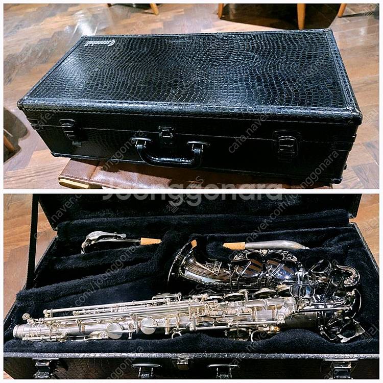 캐논볼 제랄드 올브라이트 에디션 한정판 알토 색소폰 팝...--7