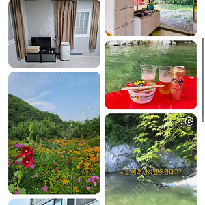 인제 갯골산머루민박(6/14-15일)
