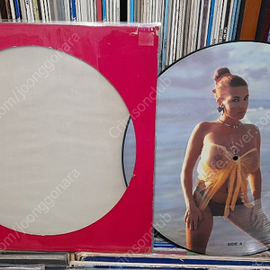 DANUTA 다누타 라토 픽쳐디스크 -일렉트로닉 댄스 디스코 희귀 LP 음반