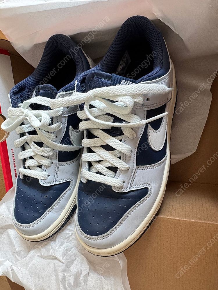 나이키 덩크로우 보이그레이드 240 이미지