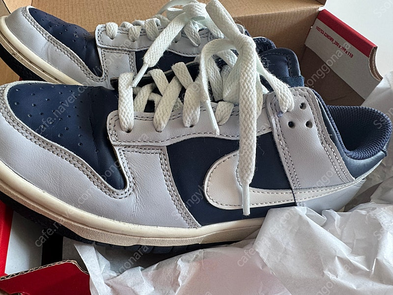 나이키 덩크로우 보이그레이드 240 이미지