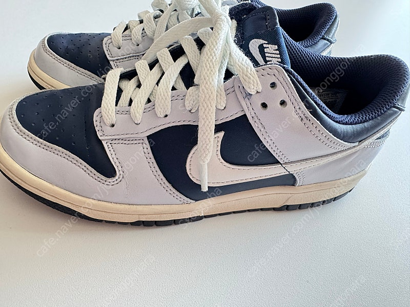 나이키 덩크로우 보이그레이드 240 이미지