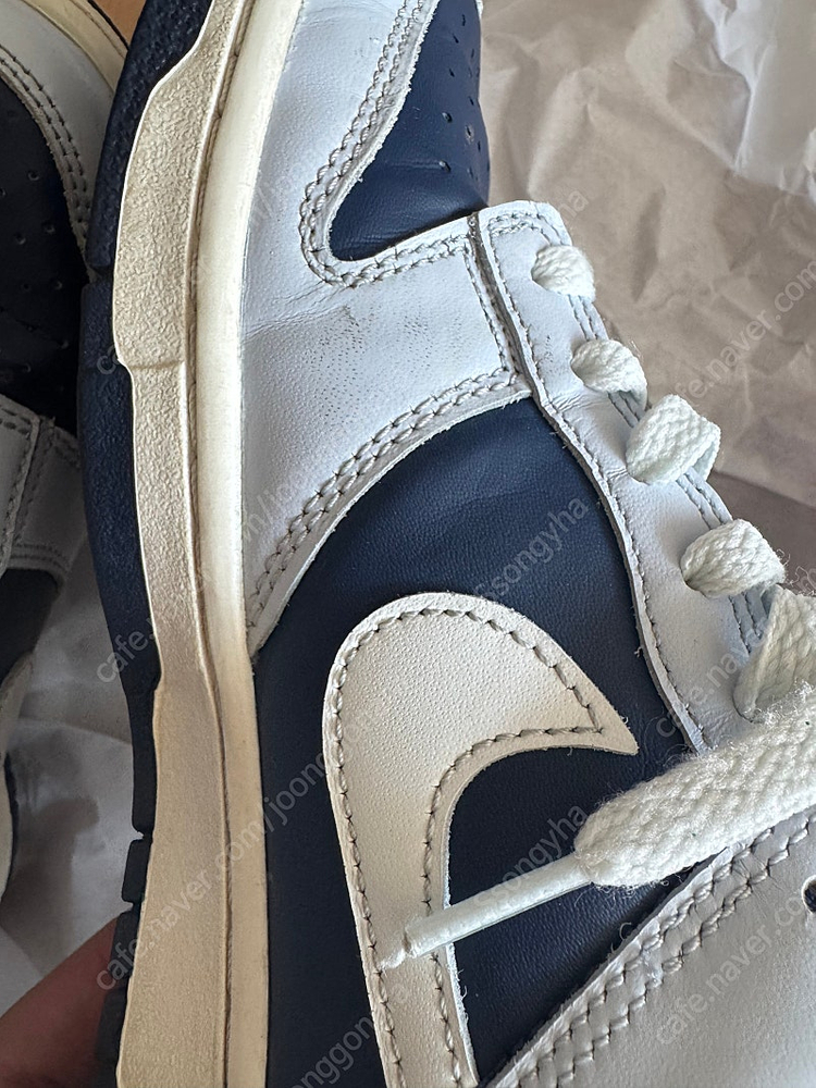 나이키 덩크로우 보이그레이드 240 이미지