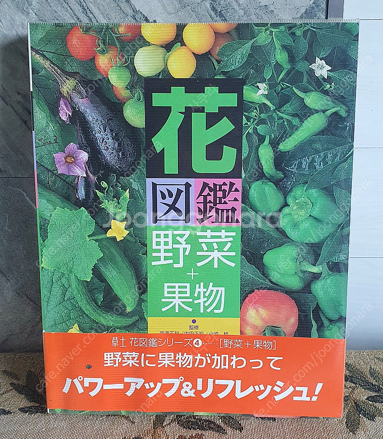 식재도감 야채 과일도감 채소레시피 외 여러권(일본원서)--3