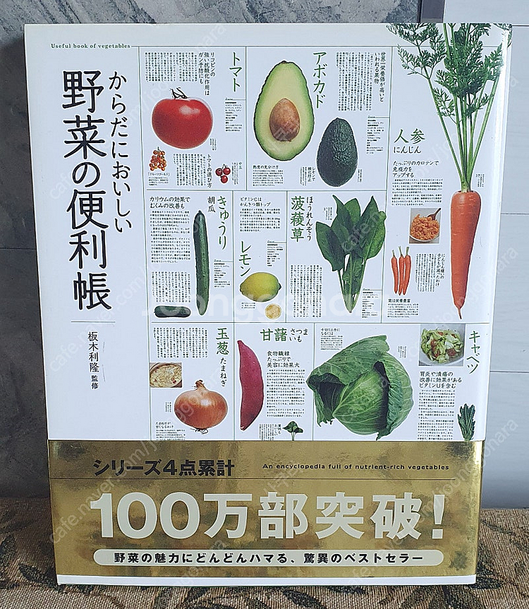 식재도감 야채 과일도감 채소레시피 외 여러권(일본원서)--4