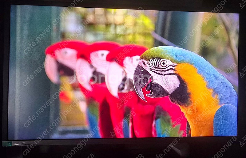 삼성 4k uhd U32H850 피벗 가능 32인치 모...--3