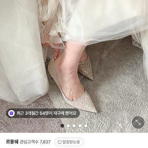 르몽쉐 메쉬힐 글리터힐 235 굽 5cm