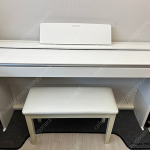카시오 프리비아 PX-870