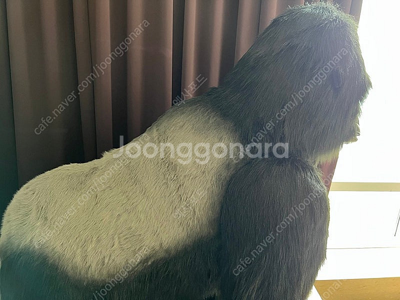 한사토이 대형 고릴라 인형 판매합니다.--1