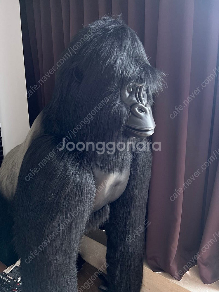 한사토이 대형 고릴라 인형 판매합니다.--2