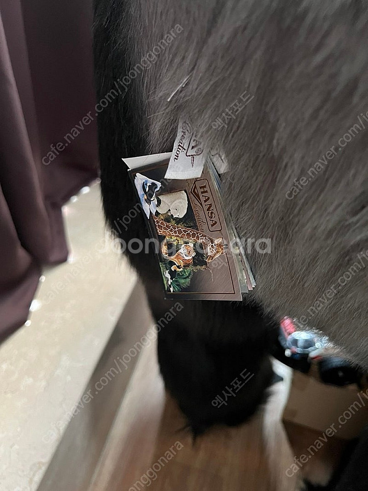 한사토이 대형 고릴라 인형 판매합니다.--3
