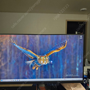 asus pg259qn 찐싱크 360hz 모니터팝니다.