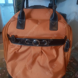 피에르가르뎅 골프백 택포 25000원에 판매
