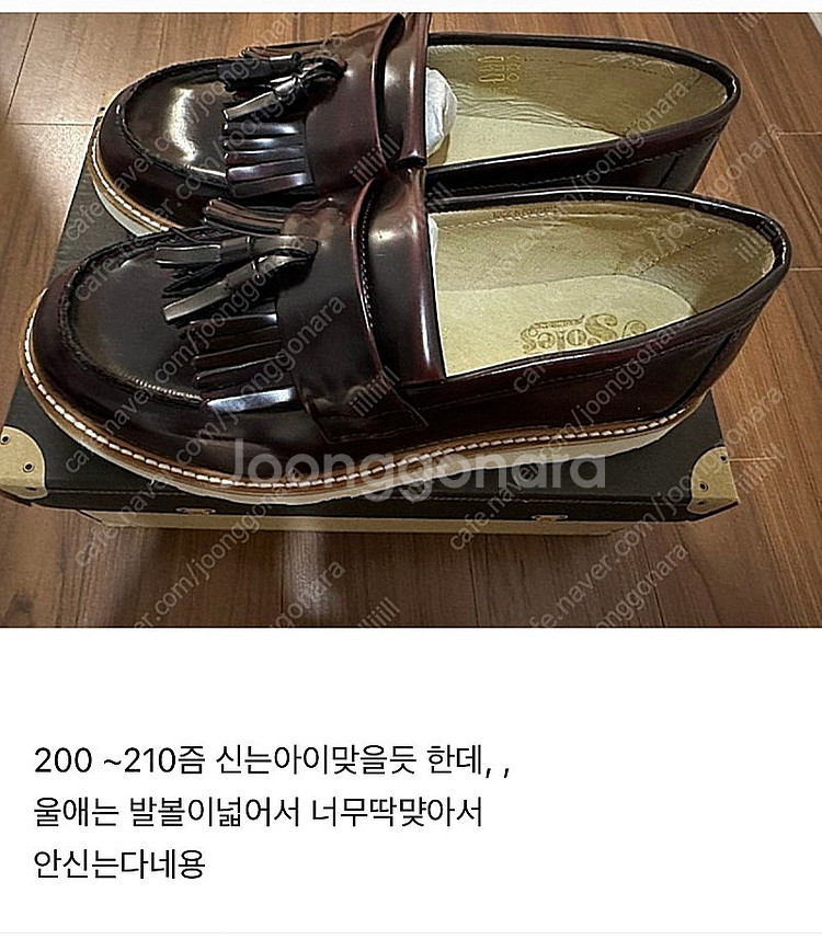 영솔로퍼 34--0