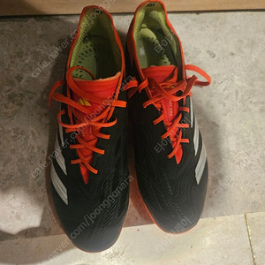 아디다스 프레테더