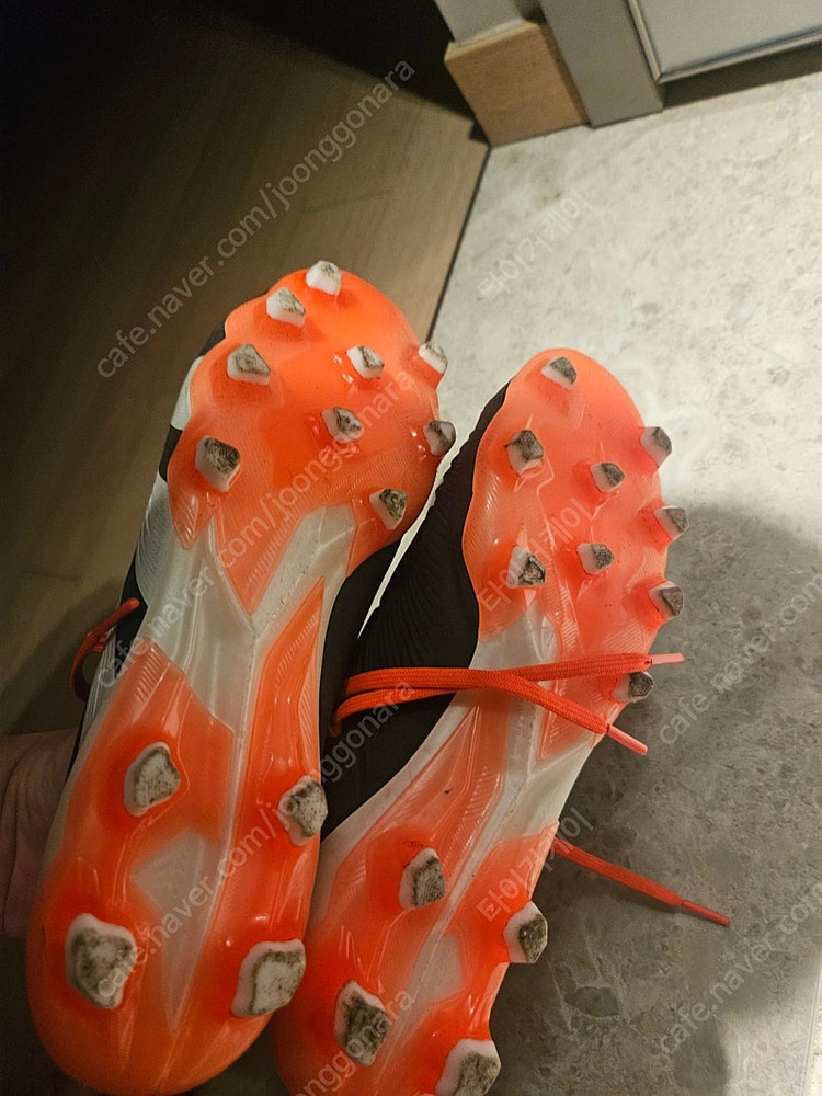 아디다스 프레테더 이미지