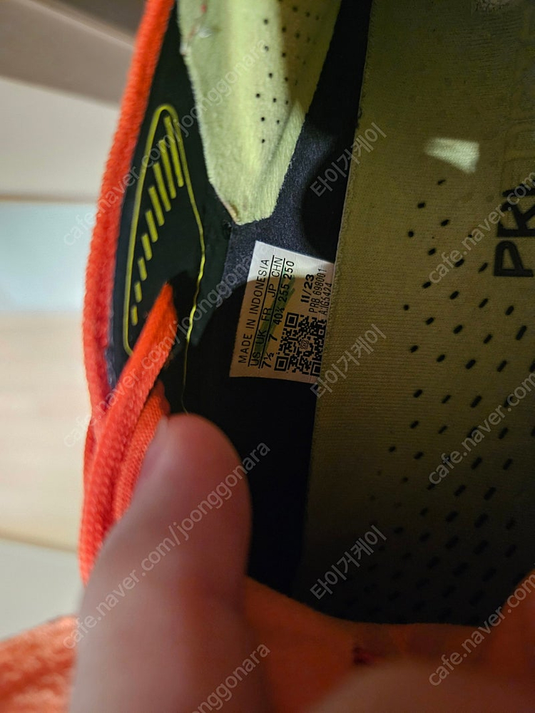 아디다스 프레테더 이미지