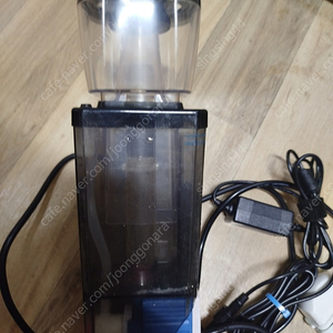 bm qq2 스키머