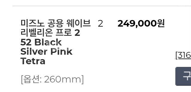 미즈노 웨이브 리벨리온 프로2 카본 러닝화--2