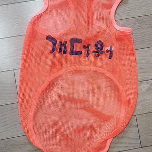 강아지옷 xxl 여름 메쉬소재